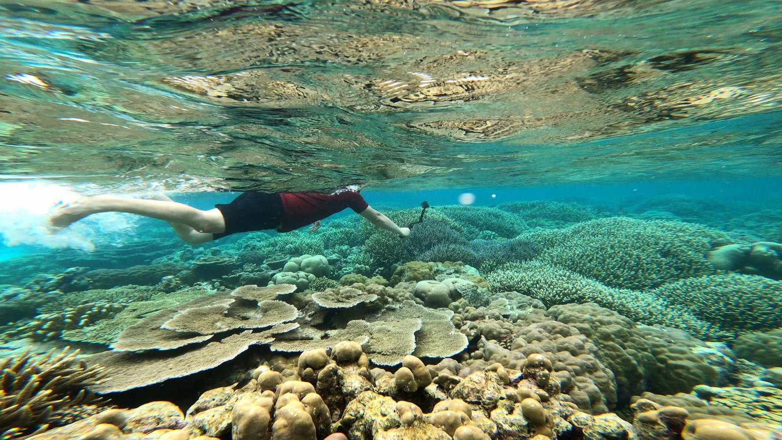 Keindahan Terumbu Karang dan Spot Snorkeling Terbaik di Pulau Banyak